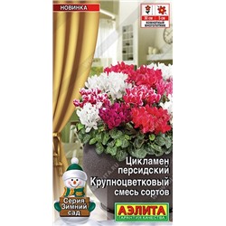 Цикламен Крупноцветковый смесь  (Код: 92540)