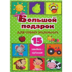 Большой подарок для самых маленьких. 15 книжек-кубиков!. Станкевич С.А.