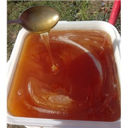 Мёд Сибирская липа, 1 кг