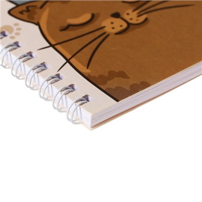 Альбом для рисования А4, 32 листа на гребне "КотоАльбом", обложка мелованный картон, блок офсет 100 г/м²