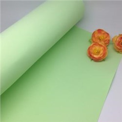 Фоамиран premium 20*30 см, толщина 1мм арт. 4033 (21) бледно зеленый