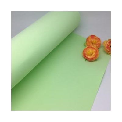 Фоамиран premium 20*30 см, толщина 1мм арт. 4033 (21) бледно зеленый