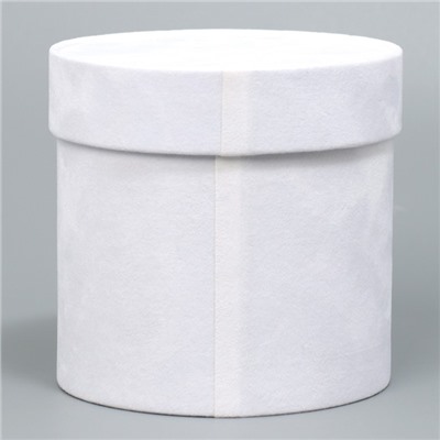 Коробка шляпная бархатная «С Новым годом», белая, 12 х 12 см