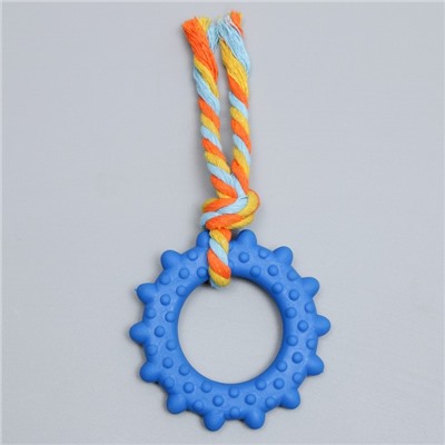 Игрушка для собак жевательная с канатом "Кольцо с хвостом", синяя
