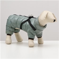 УЦЕНКА Комбинезон для собак  со шлейкой "Моден",  размер 8 (ДС 23, ОГ 30, ОШ 22 см), серый