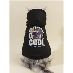 PETSIN Haustier Hoodie mit Hund & Buchstaben Grafik