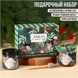 Подарочный набор «Новый год: Тепла в новом году»: алтайский мёд с мумиё 240 г., ягодно-травяной чай 50 г., ложка для мёда