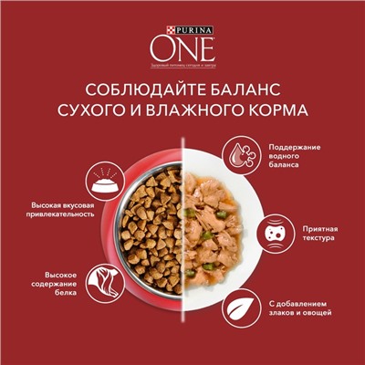 Сухой корм Purinа One medium/maxi для взрослых собак ягненок/рис, 10 кг