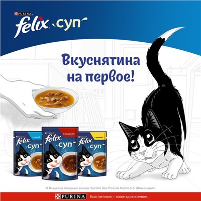 Влажный корм Felix Суп с треской, для кошек, 48 г