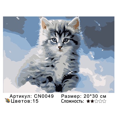 CN0049 Картины по номерам 20*30 цвет.холст