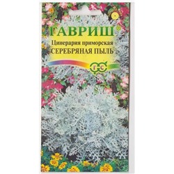 Цинерария Серебряная пыль (Код: 70968)