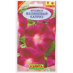 Ипомея Малиновый каприз (Код: 12149)