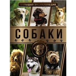 Большая энциклопедия. Собаки