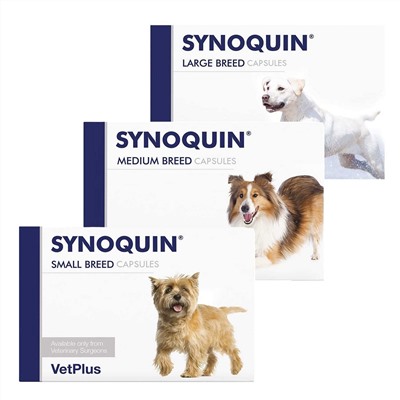Synoquin Joint Support Kapseln für Hunde: Erweiterte Gelenkpflege mit EFA