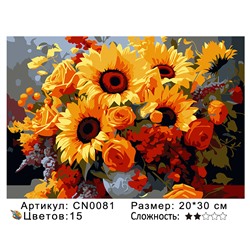 CN0081 Картины по номерам 20*30 цвет.холст