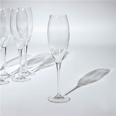 Набор бокалов для шампанского Carduelis, 6 шт, 290 мл, стекло