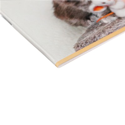 Альбом для рисования А4, 16 листов "Мяу-Котики", обложка мелованный картон, блок 100 г/м2, МИКС