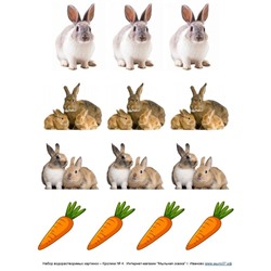 Набор водорастворимых картинок - Кролики №4