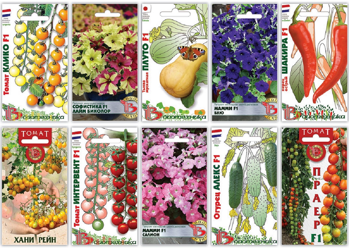 семена от биотехники интернет магазин каталог товаров