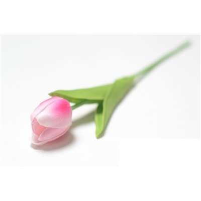 Ветка зелени - Одиночный тюльпан латексный