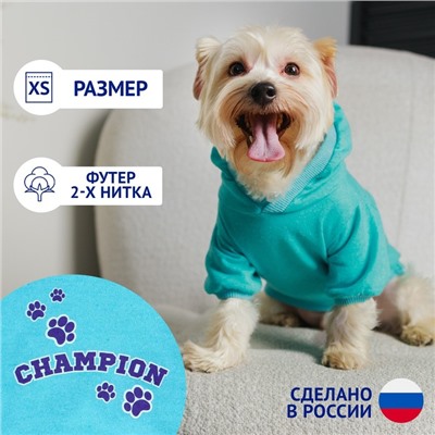 Толстовка Champion для собак (футер), размер XS (ДС 18, ОШ 28-30, ОГ 38-40), голубая