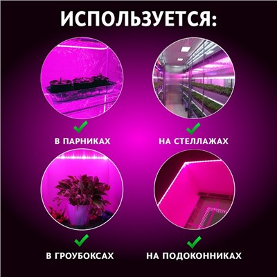 ECOTEC Фитолента светодиодная в катушке, с самоклеящимся слоем для парника "Маргарита",12 Вт, красно