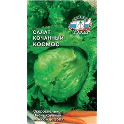 Салат кочанный Космос