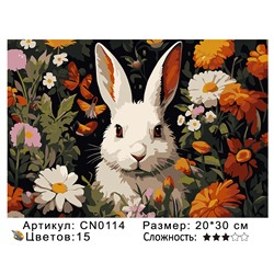 CN0114 Картины по номерам 20*30 цвет.холст