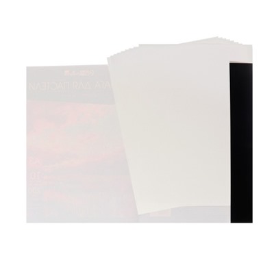 Бумага для пастели А3, 10 листов, "Пейзаж", бумага слоновая кость, ГОЗНАК, тиснение "скорлупа", блок 200 г/м2, в папке