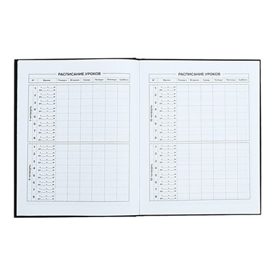 Дневник универсальный 1-11 класс, 48 листов "Медведь с зонтом", твёрдая обложка, матовая ламинация, универсальная шпаргалка, блок 65 г/м2