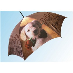 Зонт ТС017 щенок бежевый