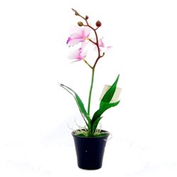 Цветок орхидея в горшке FM-035 сиреневый (12)