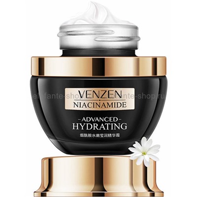 Омолаживающий крем для лица VZN Niacinamide Advanced Hydrating Cream (KO)