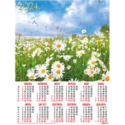 Календари листовые 10 штук A2 2024 Природа. Ромашки на лугу 30928