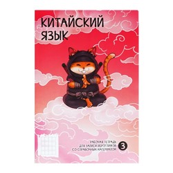 Словарь для записи иностранных слов 24 листа "НИНДЗЯ", обложка мелованный картон, матовая ламинация, блок 65 г/м2