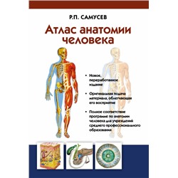 Атлас анатомии человека. Учебное пособие для студентов учреждений среднего профессионального образования