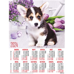 Календари листовые 10 штук A2 2024 Собаки. Милый щенок корги в цветах 31030