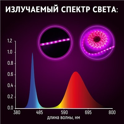 ECOTEC Фитолента светодиодная в катушке, с самоклеящимся слоем для парника "Маргарита",12 Вт, красно