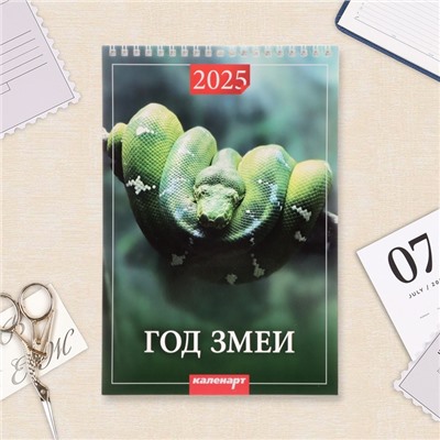 Календарь на пружине без ригеля "Символ Года Вид - 2" 2025 год, 17 х 25 см