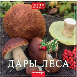 Календарь 2025год 285х285 скрепка Дары леса 0700028