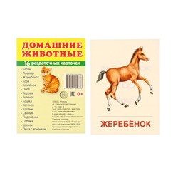 Демонстрационные картинки "Домашние животные" 16 шт, 17 х 22 см