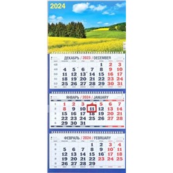 2024г. Календарь-трио Природа Желтые цветы на лугу 1300036