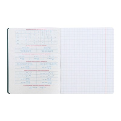 Тетрадь предметная Monocolor.Element, 48 листов в клетку "Алгебра", обложка мелованный картон, ламинация софт тач, выборочный лак, блок офсет 70 г/м2