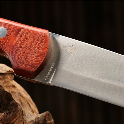 Нож охотничий "Алтай" сталь - 65х13, рукоять - дерево, 24 см