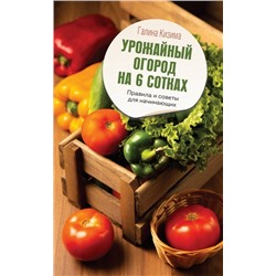 Урожайный огород на 6 сотках. Правила и советы для начинающих