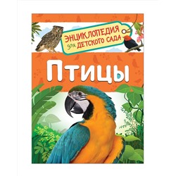 Росмэн. Энциклопедия для детского сада "Птицы" арт.37045