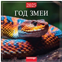 Календарь 2025год 285х285 скрепка Символ года. Вид 3 0700024