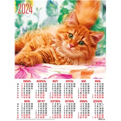 Календари листовые 10 штук A2 2024 Кошки. Рыжий котик 31032