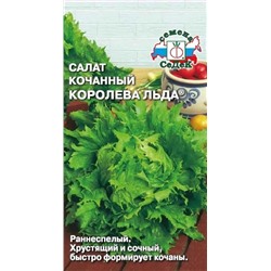 Салат кочанный Королева Льда (айсберг)