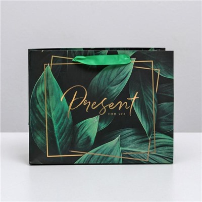 Пакет ламинированный горизонтальный Present for you, MS 23 × 18 × 10 см